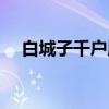 白城子千户所(关于白城子千户所介绍) 白城子千户所(关于白城子千户所介绍)