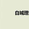 白城理纱（关于白城理纱介绍）