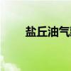 盐丘油气藏（关于盐丘油气藏介绍）