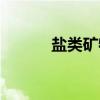 盐类矿物（关于盐类矿物介绍）