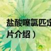 盐酸噻氯匹定缓释片（关于盐酸噻氯匹定缓释片介绍）