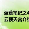 盗墓笔记之4：云顶天宫（关于盗墓笔记之4：云顶天宫介绍）