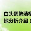 白头鹤繁殖栖息地分析（关于白头鹤繁殖栖息地分析介绍）