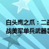 白头鹰之爪：二战美军单兵武器装备（关于白头鹰之爪：二战美军单兵武器装备介绍）