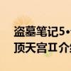 盗墓笔记5·云顶天宫Ⅱ（关于盗墓笔记5·云顶天宫Ⅱ介绍）