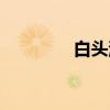 白头洲（关于白头洲介绍）