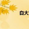 白大方（关于白大方介绍）