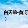 白天鹅·黄河之恋（关于白天鹅·黄河之恋介绍）