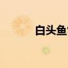 白头鱼雷（关于白头鱼雷介绍）