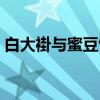 白大褂与蜜豆饼（关于白大褂与蜜豆饼介绍）