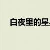 白夜里的星星（关于白夜里的星星介绍）