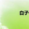 白子健（关于白子健介绍）