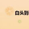白头到老（关于白头到老介绍）