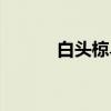 白头椋鸟（关于白头椋鸟介绍）