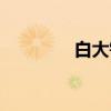 白大铉（关于白大铉介绍）