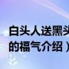 白头人送黑头人的福气（关于白头人送黑头人的福气介绍）