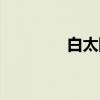 白太阳（关于白太阳介绍）