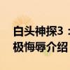白头神探3：终极悔辱（关于白头神探3：终极悔辱介绍）