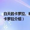 白天的卡罗拉、晚上的卡罗拉（关于白天的卡罗拉、晚上的卡罗拉介绍）