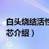 白头烧结活性炭滤芯（关于白头烧结活性炭滤芯介绍）