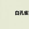 白孔雀苗（关于白孔雀苗介绍）