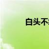 白头不终（关于白头不终介绍）