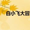 白小飞大冒险（关于白小飞大冒险介绍）