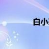 白小茶（关于白小茶介绍）