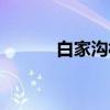 白家沟村（关于白家沟村介绍）