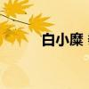 白小糜 黍（关于白小糜 黍介绍）