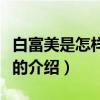 白富美是怎样炼成的（关于白富美是怎样炼成的介绍）