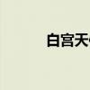 白宫天使（关于白宫天使介绍）