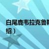 白尾鹿韦拉克鲁斯州亚种（关于白尾鹿韦拉克鲁斯州亚种介绍）