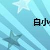 白小曼（关于白小曼介绍）