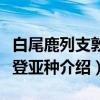 白尾鹿列支敦士登亚种（关于白尾鹿列支敦士登亚种介绍）