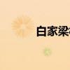 白家梁村（关于白家梁村介绍）