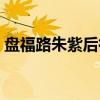 盘福路朱紫后街（关于盘福路朱紫后街介绍）