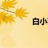 白小葵（关于白小葵介绍）