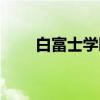白富士学园（关于白富士学园介绍）