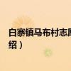 白寨镇马布村志愿服务队（关于白寨镇马布村志愿服务队介绍）