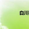 白川在（关于白川在介绍）