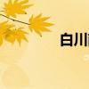 白川南（关于白川南介绍）
