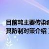 目前鸭主要传染病及其防制对策（关于目前鸭主要传染病及其防制对策介绍）