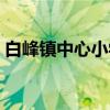 白峰镇中心小学（关于白峰镇中心小学介绍）