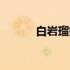 白岩瑠姬（关于白岩瑠姬介绍）