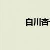 白川杏子（关于白川杏子介绍）