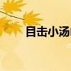 目击小汤山（关于目击小汤山介绍）