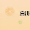 白川州（关于白川州介绍）