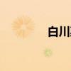 白川惠（关于白川惠介绍）