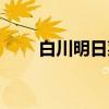 白川明日菜（关于白川明日菜介绍）